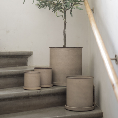 trockenblumen vasen Trockenblumenstrauß online kaufen Größe:50x30